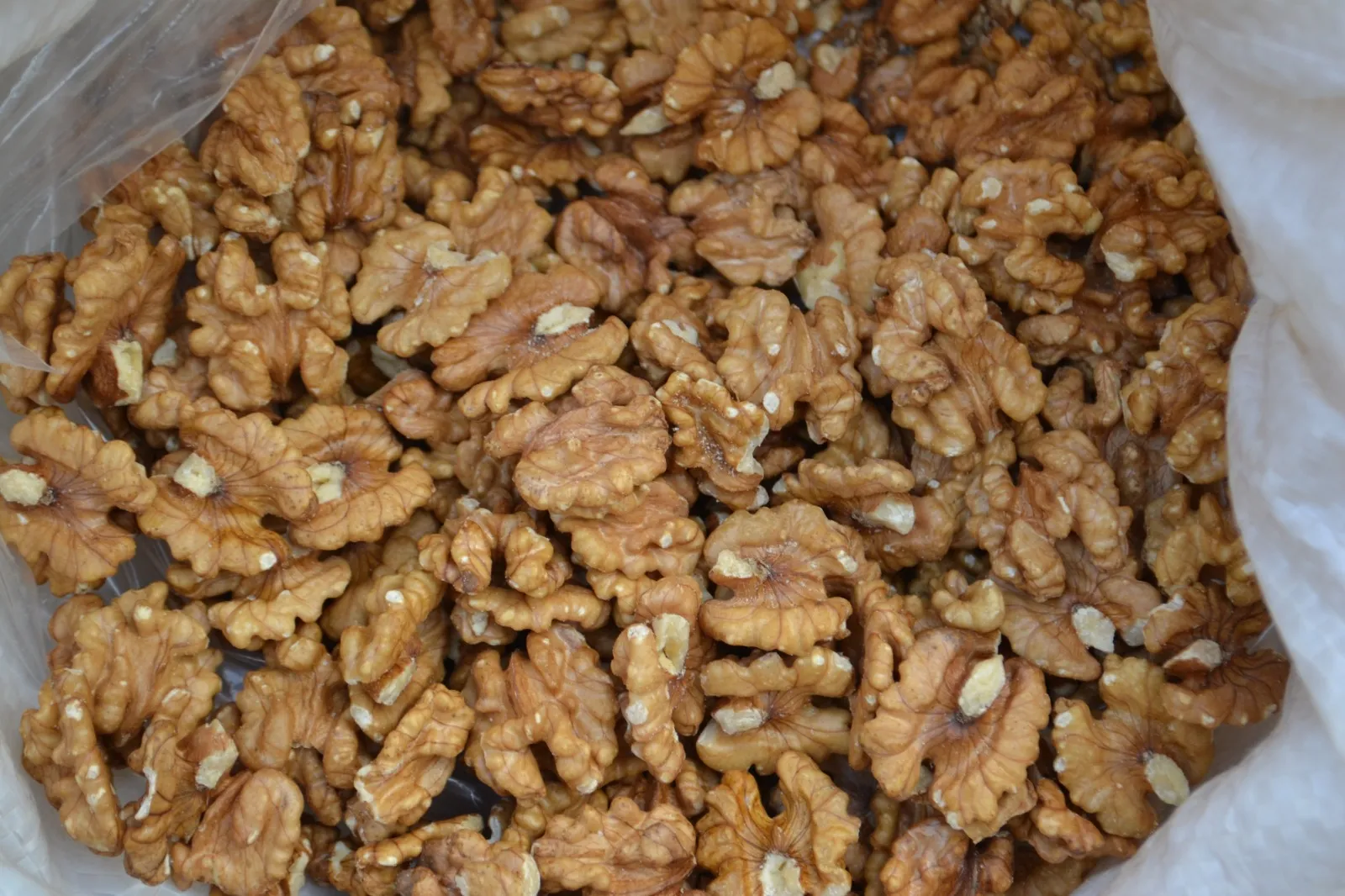 Nueces 100 Gr.