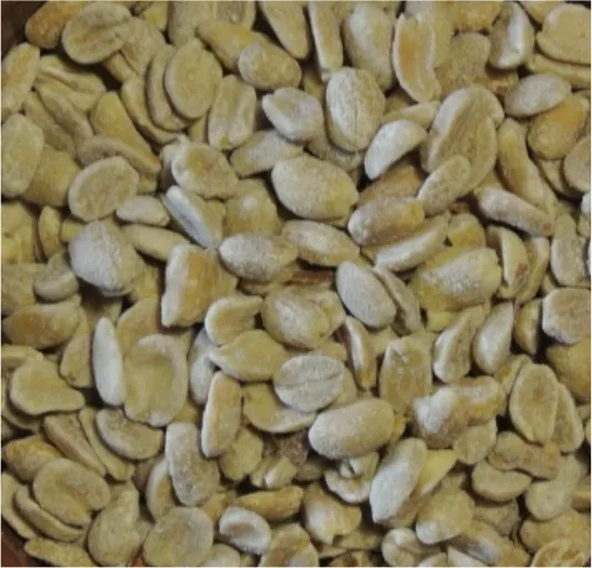 Maní 250 Gr.