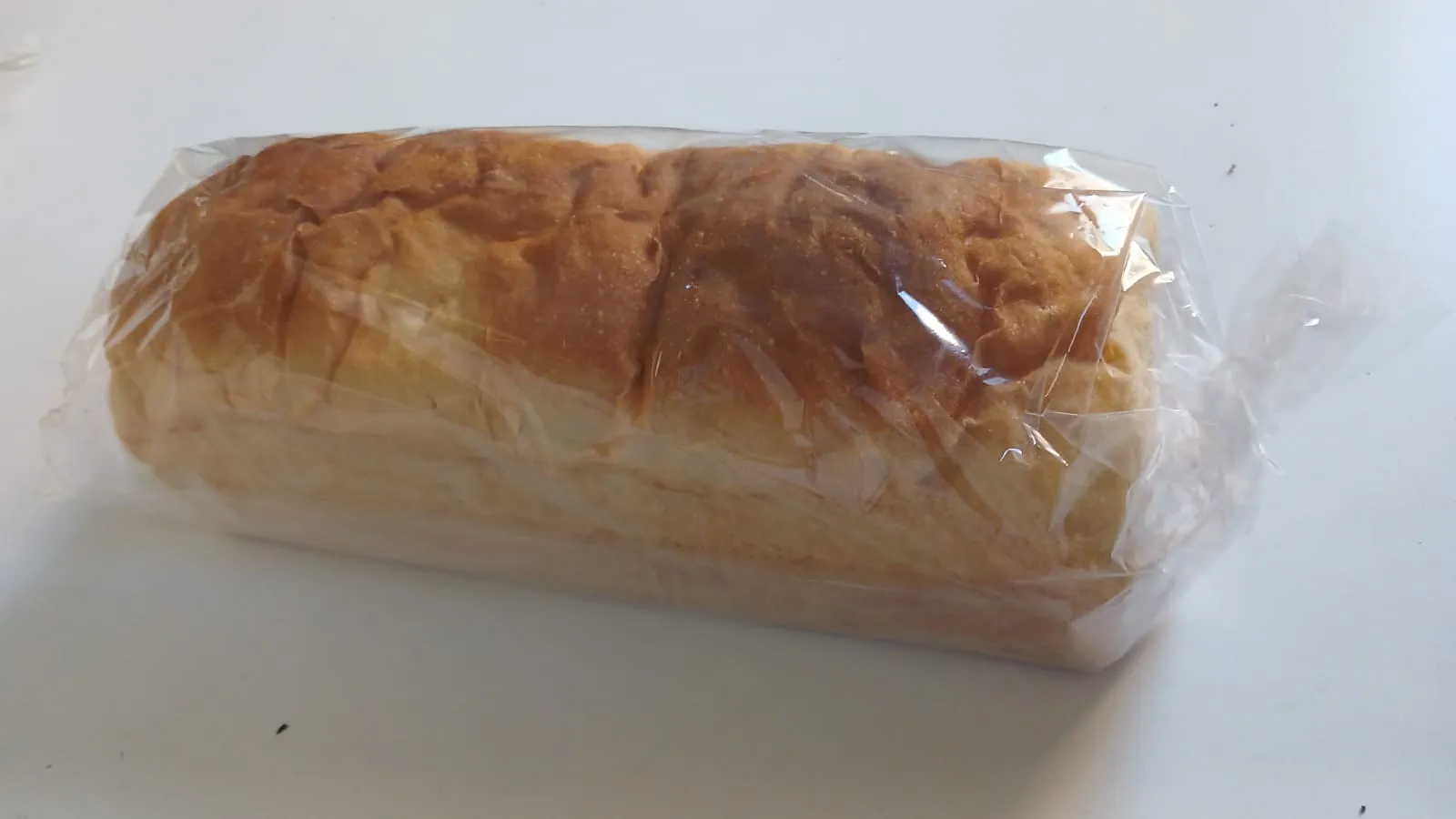 Pan Lactal